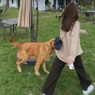 煋红